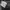 Crewneck Paris Saint German original tag 2020 photo 4