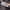 Crewneck Paris Saint German original tag 2020 photo 5