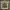 3PCS!!! Yellow Grunge Gothic Ghrapic Sky Bomber Crazy Girl photo 2