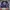 3PCS!!! Yellow Grunge Gothic Ghrapic Sky Bomber Crazy Girl photo 3