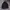 Jacket Outdoor Phenix Gorpcore photo 3