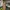 Pro Skate Vans Skate Authentic Original PT GMG photo 3