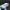 Nike Air jordan Low UNC photo 7