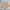 SHEIN HOT PANTS SWEATPANTS SHORT
