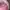 Vintage Vondutch Pink Full-Mesh Trucker Hat photo 7