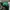 Vintage Vondutch Green Full-Mesh Trucker Hat photo 4