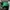 Vintage Vondutch Green Full-Mesh Trucker Hat photo 3