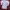 Vivienne Westwood Luxury Avant Garde Shirt Wanita white photo 5
