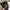 Vondutch Brown Suede-Leather Hat Travisscott Limited Edition photo 6