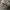 Vondutch Brown Suede-Leather Hat Travisscott Limited Edition photo 3