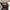 Vondutch Brown Suede-Leather Hat Travisscott Limited Edition photo 5