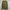 GAP Vintage Green