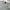 Giorgio Armani Teal Green Original Top photo 5