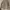 parka tactical jaket Timberland photo 2