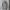 Halfzip Canterbury of New Zeland Original photo 4
