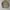 Unknw work jacket photo 2