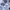Adidas Streetwear Sweater Pria white photo 4