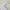 Fairycore cute coquette dollete cottagecore fatal femme photo 3