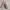 Heels CK Nude