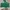 ZARA Casual Crop Top Wanita Green