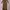 Evertops bodycon long dress panjang brown coklat photo 1