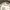 Michael Kors Handbag Wanita brown photo 3