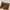 Fossil Minimalist Casual Wallets & purse Wanita brown photo 3