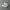 nike af1 photo 1