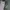 Charles and Keith Luxury Casual Shoulder bag Wanita green photo 4