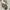 Guess photo 2
