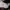 dickies double knee size 43 photo 4