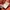 Grand Park Nicole Tomato Japanese Trouser Pants photo 7