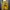 DAVID BECHAM HOODIE