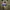 Blazer md 300 photo 2