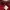 Alfredo versace polo long sleeve red second photo 5