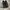 nb 1000 photo 2