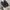 nb 1000 photo 1