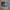 VANS ERA - CHECKER BOARD Original photo 6