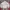 Blouson jacket insilence work jacket cream beige photo 1