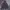 Carhartt Hooded Sweatshirt PD photo 2