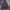 Carhartt Hooded Sweatshirt PD