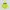 Gorpcore Sportswear Puffer jacket Pria yellow photo 3