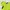 Gorpcore Sportswear Puffer jacket Pria yellow photo 4