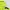Gorpcore Sportswear Puffer jacket Pria yellow photo 5