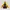 Mountaingeer Gorpcore Sportswear Puffer jacket Pria yellow black photo 3