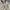 Polo Ralph Lauren Casual work Jacket Boxy photo 6