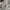 Polo Ralph Lauren Casual work Jacket Boxy photo 7