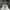 BALENCIAGA 3XL DISTRESSED GREY , BALENCIAGA 3XL DISTRESSED   photo 3