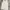 Nicole Club for Men Y2K T-shirt Pria white photo 3