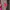Kate Spade Vintage Casual Tote bag Wanita pink photo 4